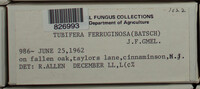 Image Associated With the Occurence
